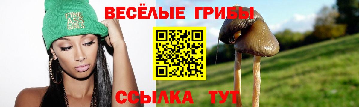 магазин продажи наркотиков  Вход с VPN  Гулькевичи  Галлюциногенные грибы MAGIC MUSHROOMS 